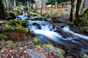 Arroyo del Sestil