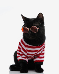 cool black cat with sunglasses looking down to side