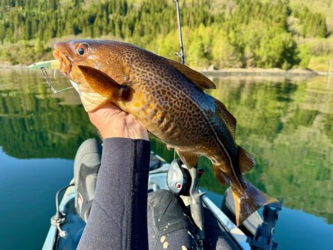 fishing on the river