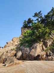 바위 나무 하늘