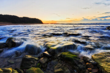 Sea HB Green moss vale