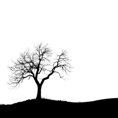 A solitary tree standing on a hill, silhouetted against a dark background, creating a peaceful and serene scene in nature.