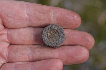 one iron small brown rusty nut lies on the fingers of the hand