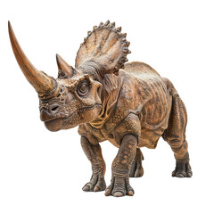 Realistic Triceratops model depicted in a lifelike stance, showing its distinct horns and rugged texture, perfect for educational purposes.