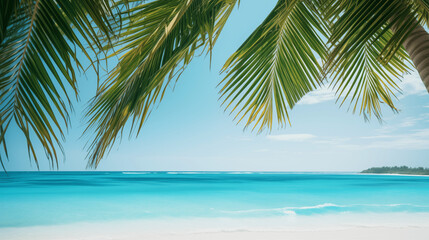 Paysage d'une plage paradisiaque avec feuilles de palmier. Espace vide de composition. Sable fin, océan ou mer. Ciel bleu, soleil. Vacances, été, voyage. Pour conception et création graphique.