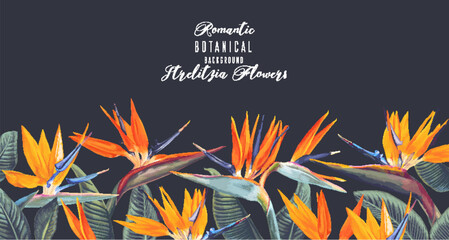 Vector horizontal border with tropical Strelitzia flowers and leaves isolated on dark background. Summer theme background, realistic style design. Greetings, invitations, template place for text