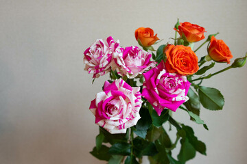 フラッシングとベイブ