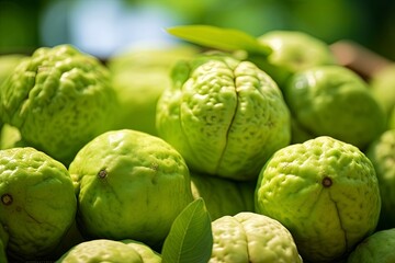 Obraz premium close up of guava fruit and water drops, generative ai
