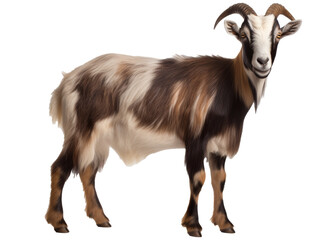 goat isolated on transparent background 