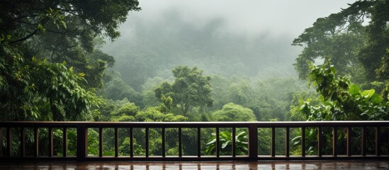 A wooden balcony overlooking a lush green forest on a rainy day, ideal for a cozy retreat, with potential for a picturesque backdrop in a photo with copy space image.