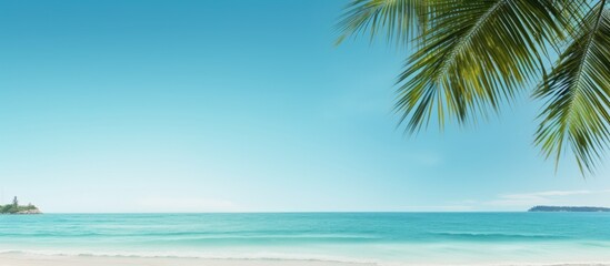 Fototapeta premium Indian Ocean beach scene under a clear blue sky with copy space image.