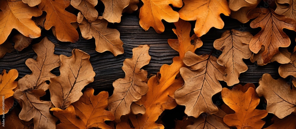 Poster oak leaves withered up a lack of moisture to create a fall-themed copy space image.