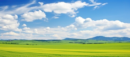 Obraz premium A serene landscape under a picturesque blue sky with fluffy white clouds floating above vibrant green and yellow fields, ideal for a copy space image.