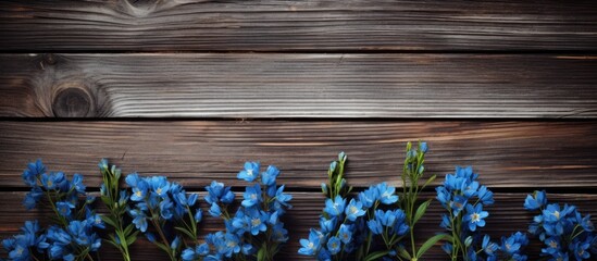 Fototapeta premium Old wooden background with blue flowers as the focal point in a copy space image.