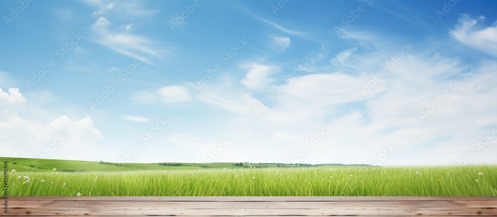 Poster Wooden desk with white surface under a blue sky backdrop, featuring green grass and empty area for display, suitable for a copy space image.