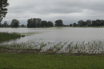 Flood because of heavy rain