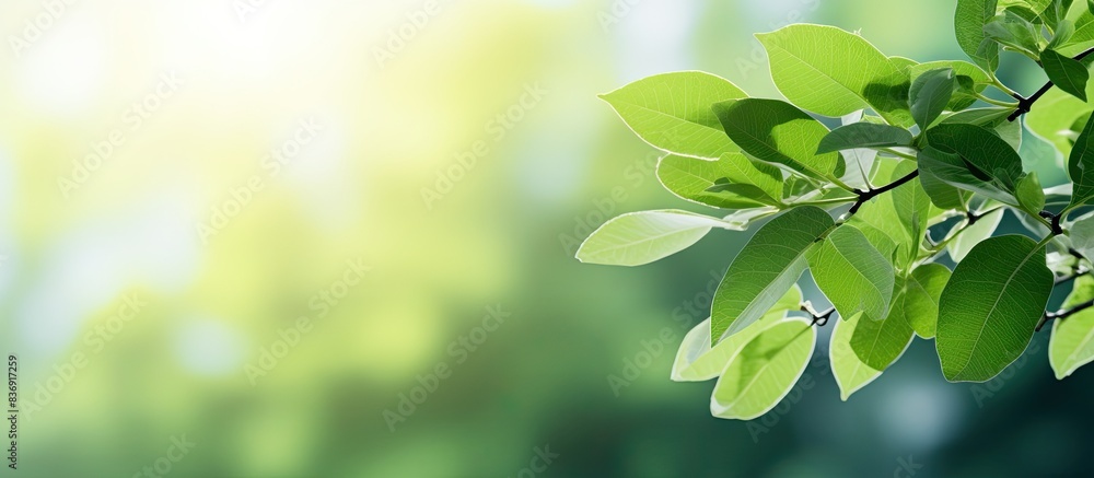 Poster closeup of vibrant green foliage with a blurred bokeh background, featuring copy space image.