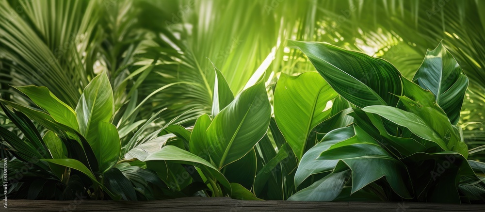 Poster enhance your garden decor with a tropical touch using a pandan plant with airy leaves and a unique a