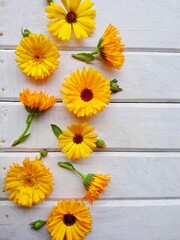 Calendula. Marigold flower leaf top view on white wooden background. Calendula cup (Marigold flower) leaf natural summer flower. Calendula officinalis medicinal herb plant petals - healthy concept