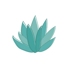 Cute green aloe bush, simple drawing of exotic Mexican nature vector illustration