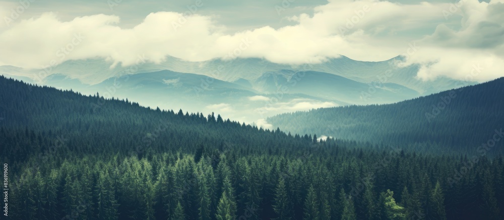 Poster Vintage-style photograph showing a scenic view of the Carpathian Mountains surrounded by a forest with isolated trees and clouds overhead, ideal for a copy space image.