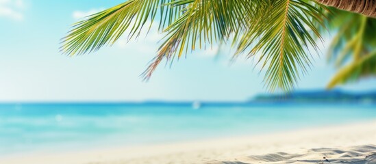 Fototapeta premium Blurry palm tree and tropical beach background with sandy surface, emphasizing a summer vacation and travel theme. Ample copy space for adding text or images.