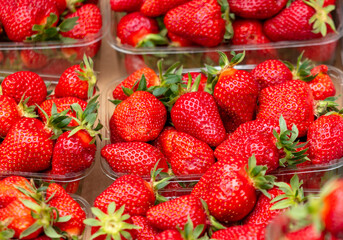 Red ripe strawberries as a background