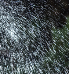 Rain water splashes as abstract background. Texture