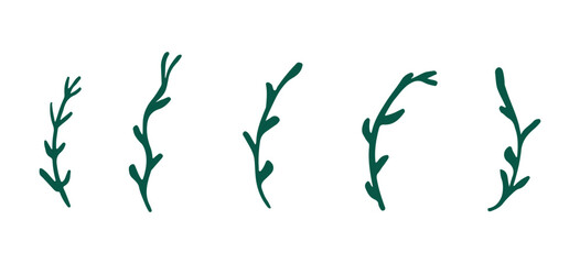 Collection of plants, herbs, algae. Vector grass in flat style. Elements for the decor of cards, prints, patterns on an isolated background.
