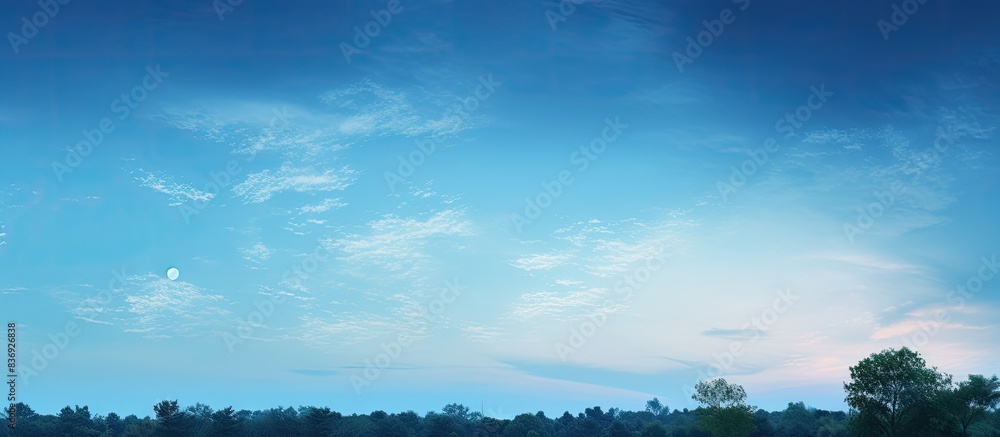 Poster twilight scene featuring a blue sky, white clouds, and treetops perfect for a background with copy s