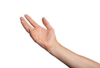Hand arm isolated white take up hold object palm adult skin. Young concept showing business pick...