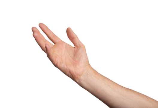 Hand arm isolated white take up hold object palm adult skin. Young concept showing business pick touch something position conceptual people symbol different. Body sign closeup, transparent png