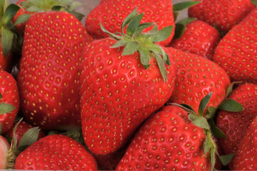 Fraises de Plougastel en gros plan