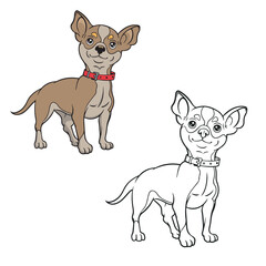 chihuahua drawing vector illustrations. simple design outline style. easy to edit.