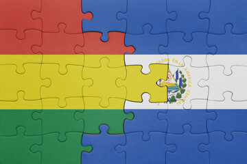 puzzle with the colourful national flag of el salvador and flag of bolivia.