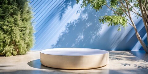 a podium for product demonstration against a background of plant shadows