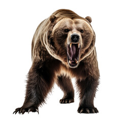 Capture the Wild: Majestic Grizzly Bear in its Natural Habitat, a Stunning Photographic Portrait.