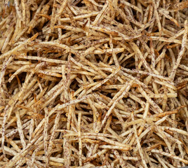 sweet potato fries as background.