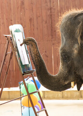 elephant paints a picture with its trunk.