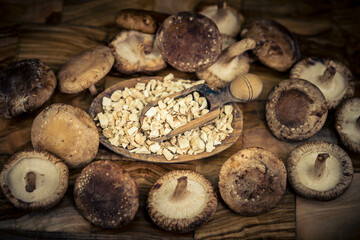 Shiitake Pilze Lentinula edodes auf Olivenholz