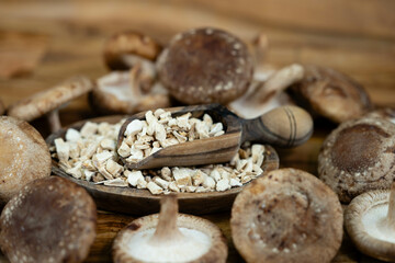 Shiitake Pilze Lentinula edodes auf Olivenholz