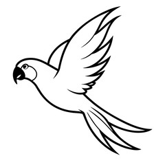 Parrot flying vector illustration 