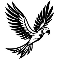 Parrot flying vector illustration 