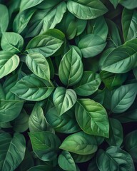 Leafy green background. green leafy tropical pine forest patterns for creative design elements. Generative AI.