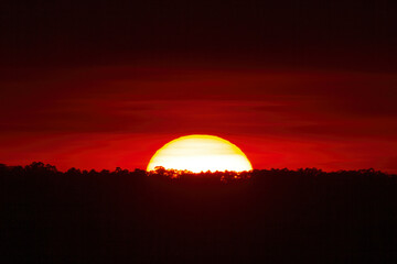 Red Sky Sunset Over Trees