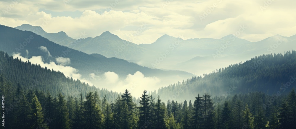 Poster Vintage-style photograph showing a scenic view of the Carpathian Mountains surrounded by a forest with isolated trees and clouds overhead, ideal for a copy space image.