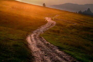 Pieniny , Tatry , Karpaty , góry  © Daniel Folek