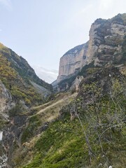 Mountain natural landscape. The season is early autumn.