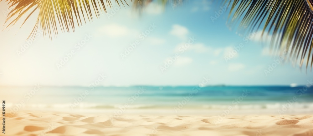 Poster Blurry palm tree and tropical beach background with sandy surface, emphasizing a summer vacation and travel theme. Ample copy space for adding text or images.