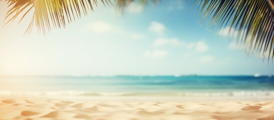 Blurry palm tree and tropical beach background with sandy surface, emphasizing a summer vacation and travel theme. Ample copy space for adding text or images.